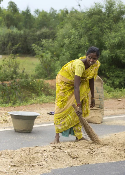 Young woman sweeps millet on public road. — Stock Photo, Image