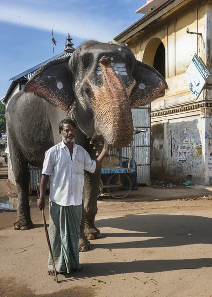 Mahout and his elephant. — Stock Photo, Image