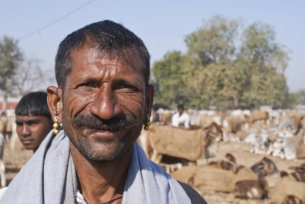 Nagaur geniş gülümseyen sığır çiftçi. — Stok fotoğraf