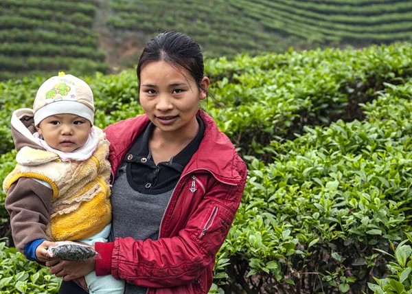 Madre joven con niño en plantación de té . —  Fotos de Stock