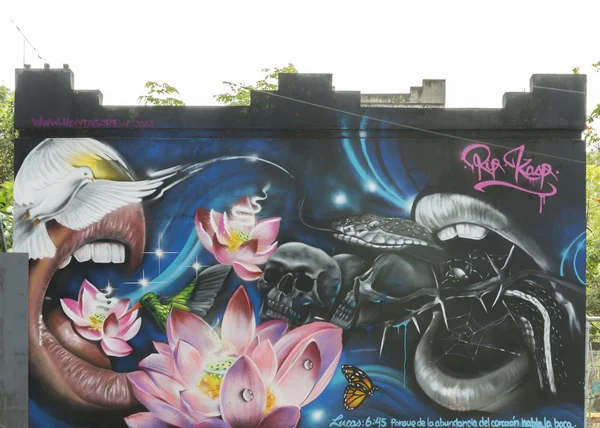 Graffiti de serpent, oiseaux, crânes, bouche, lotus, papillon et mo — Photo
