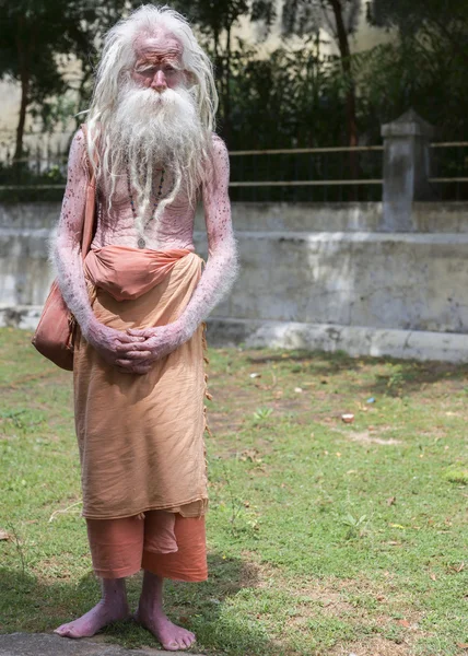 Albino Sadhu. — Stok fotoğraf