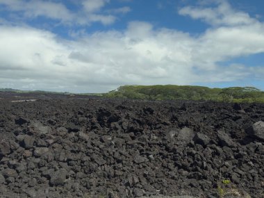 Pahoa, Hawaii Island, Hawaii, USA - July 15, 2025: Lava field at Kapoho beach. Thick black layer of rocky pieces under blue cloudscape, Line of green vegetation in middle