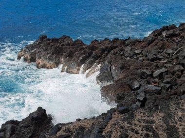 Pahoa, Hawaii Island, Hawaii, USA - July 15, 2025: MacKenzie State Recreation Area forest along shoreline.  Waves crash against Black cliffs above ocean