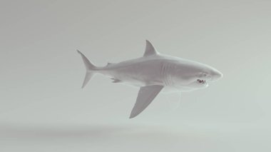 Great White Shark Pure White 3d illustration render clipart