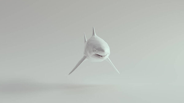 Great White Shark Pure White 3d illustration render