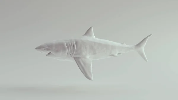 Gran Tiburón Blanco Puro Blanco Ilustración Renderizado —  Fotos de Stock