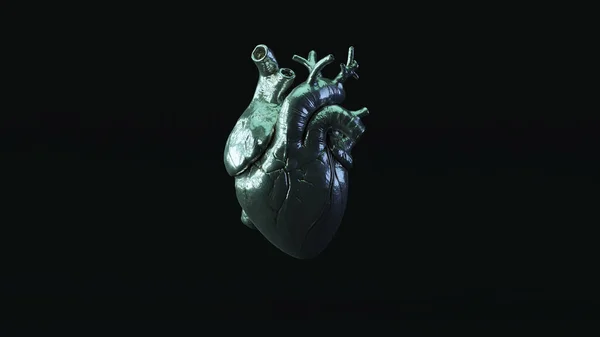 Ασημένια Ανατομική Καρδιά Μπλε Πράσινο Moody Φωτισμός Απεικόνιση Καθιστούν — Φωτογραφία Αρχείου