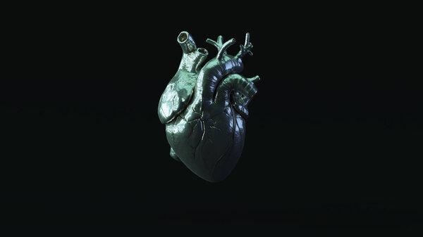 Silver Anatomical Heart with Blue Green Moody 80s Lighting 3d illustration render
