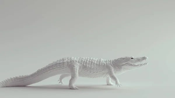 Fehér Krokodil Fekete Szemekkel Illusztráció Render — Stock Fotó
