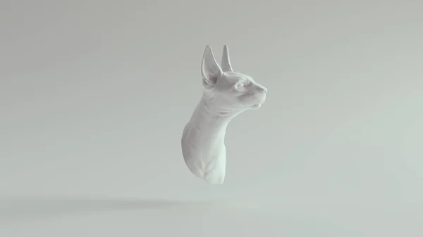 White Long Eared Cat Bust Ilustrație Render — Fotografie, imagine de stoc