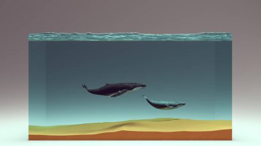 Humpback Whale Mother an Calf in a Water Block and Sandy Seabed 3d illustration render clipart