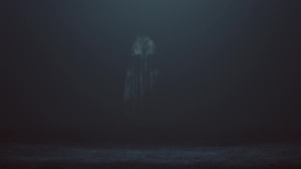 Floating Evil Spirit Glowing Eyes Long Death Shroud Foggy Void — Stock Video