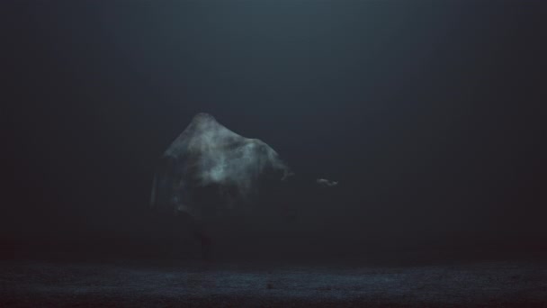 Злий Дух Сидів Інвалідному Візку Піднятою Ногою Туманній Порожнечі Ілюстрації — стокове відео