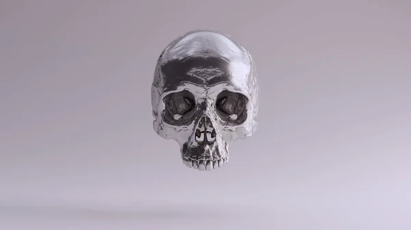 Silver Human Female Skull Medical Anatomical Illustration Render — Zdjęcie stockowe