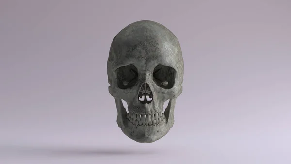 Old Bronze Human Female Skull Jaw Medical Anatomical Oxidised Patina — 스톡 사진