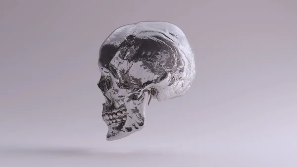 Срібний Людський Череп Медичний Анатомічний Зубами Дзьобом Ліва Сторона Ілюстрація — стокове фото