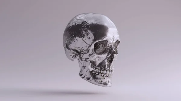 Срібний Людський Череп Медичний Анатомічний Зубами Дзижчанням Квартал Правий Бік — стокове фото