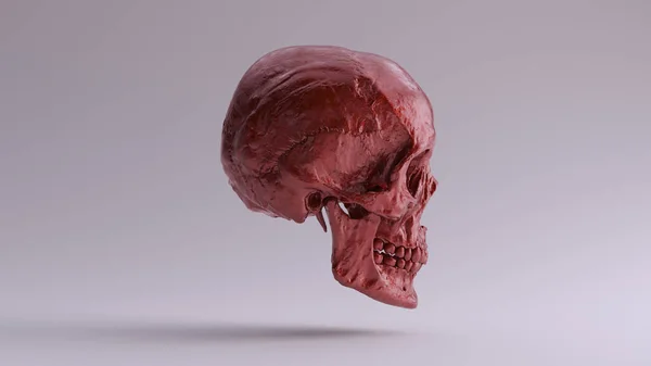 Red Metallic Gothic Human Female Skull Medical Anatomical Mit Zähnen — Stockfoto