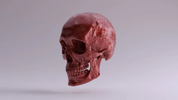 Red Metallic Gothic Human Female Skull Medical Anatomical Mit Zähnen — Stockfoto