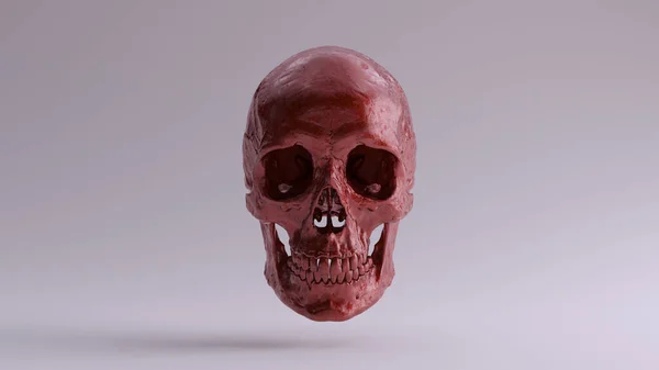 Red Metallic Gothic Human Female Skull Medical Anatomical Mit Zähnen — Stockfoto