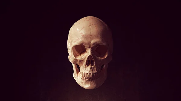 Ludzka Czaszka Szczęki Kości Piratów Trucizna Horror Symbol Halloween Kobieta — Zdjęcie stockowe