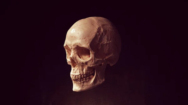 Human Female Skull Jaw Bone Pirate Poison Horror Symbol Halloween — стокове фото