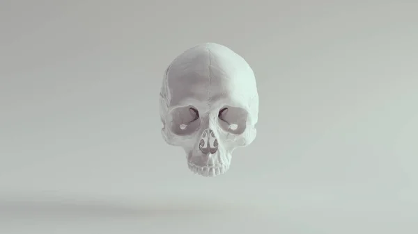 Calavera Blanca Cabeza Femenina Esqueleto Hueso Halloween Muerte Anatomía Muerta — Foto de Stock