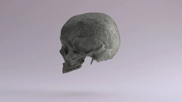 Eski Bronz Nsan Kafatası Tıbbi Anatomik Oksitlenmiş Patina Sağ Kenar — Stok fotoğraf