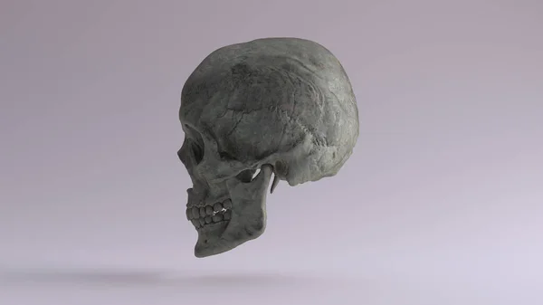 Old Bronze Human Female Skull Jaw Medical Anatomical Οξειδωμένο Patina — Φωτογραφία Αρχείου