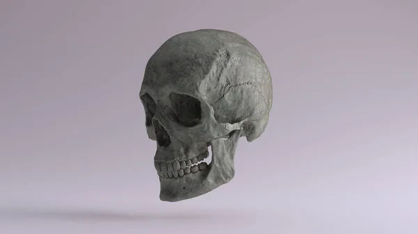 古いですブロンズ人間の女性の頭蓋骨とともに顎医学解剖学的酸化Patina 4分の1左側3Dイラストレンダリング — ストック写真