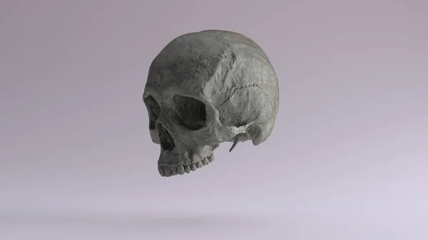 Vieux Bronze Humain Femelle Crâne Médical Oxydé Anatomique Patina Quart — Photo