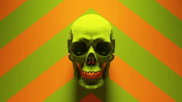 Green Orange Human Female Skull Medical Anatomical Jaw Teeth Green — Stok Foto