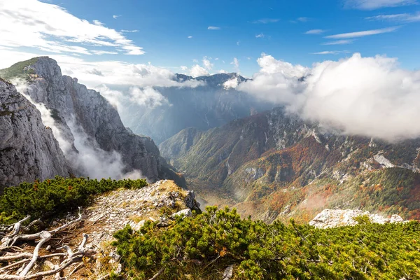 Φθινόπωρο Χρώματα Όμορφη Velika Planina Kamniska Bistrica Κοιλάδα Του Δάσους — Φωτογραφία Αρχείου