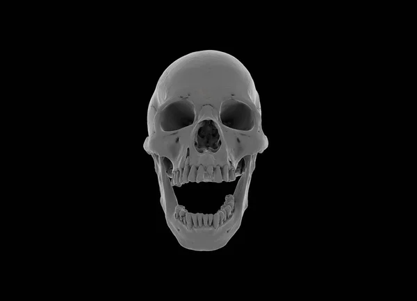 A human skull full face a wide-open mouth on saturated colors on a black isolated background. Image for printing. The concept of death, horror. Spooky Halloween symbol, virus. 3d render illustration.