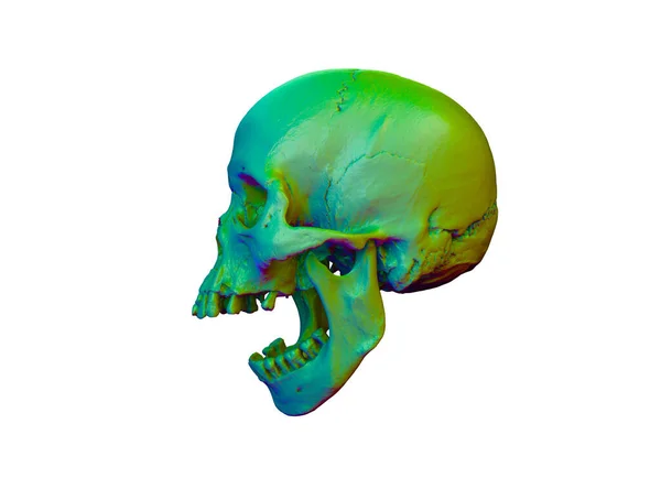Голова Людини Страшний Череп Анатомічному Стилі Кольору Бензинової Плівки Переповнення — стокове фото
