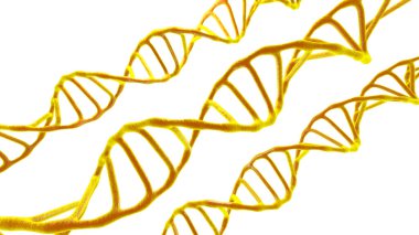 Beyaz yalıtılmış bir zemin üzerinde elektron mikroskobunda sarı DNA molekülleri görülür. Biyoloji ve biyoteknoloji konsepti, bilimsel araştırma, deoksiribonükleik asit, insan genomu. 3B resimleme.