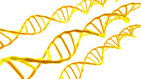 Bu sahne mikroskop altında görüntülendi. Beyaz zemin üzerindeki DNA molekülleri. Kavramsal moleküler biyoloji ve biyoteknoloji, Deoksiribonükleik asit genomları. 3B görüntüleme.