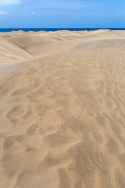 Maspalomların kum tepeleri, Büyük Kanarya Adaları, Kanarya Adaları, İspanya Sıcak bir yaz gününde.