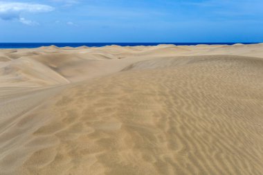Maspalomların kum tepeleri, Büyük Kanarya Adaları, Kanarya Adaları, İspanya Sıcak bir yaz gününde.