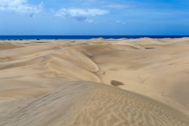 Maspalomların kum tepeleri, Büyük Kanarya Adaları, Kanarya Adaları, İspanya Sıcak bir yaz gününde.