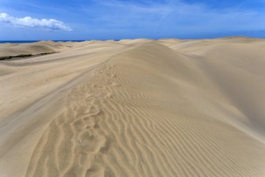 Maspalomların kum tepeleri, Büyük Kanarya Adaları, Kanarya Adaları, İspanya Sıcak bir yaz gününde.