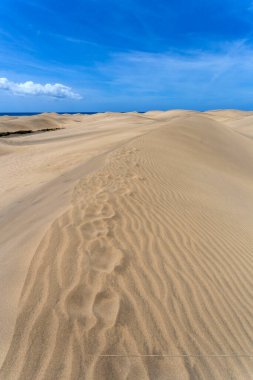 Maspalomların kum tepeleri, Büyük Kanarya Adaları, Kanarya Adaları, İspanya Sıcak bir yaz gününde.