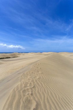 Maspalomların kum tepeleri, Büyük Kanarya Adaları, Kanarya Adaları, İspanya Sıcak bir yaz gününde.