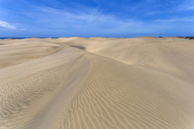 Maspalomların kum tepeleri, Büyük Kanarya Adaları, Kanarya Adaları, İspanya Sıcak bir yaz gününde.