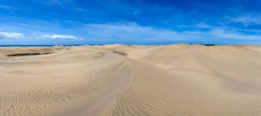 Maspalomların kum tepeleri, Büyük Kanarya Adaları, Kanarya Adaları, İspanya Sıcak bir yaz gününde.