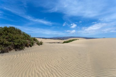 Maspalomların kum tepeleri, Büyük Kanarya Adaları, Kanarya Adaları, İspanya Sıcak bir yaz gününde.
