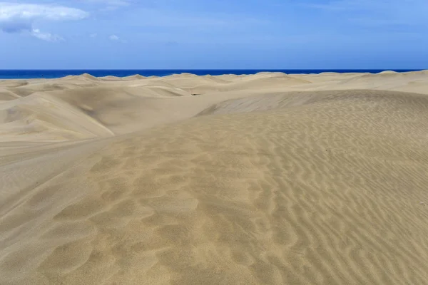 Dune Sabbia Maspalomas Gran Canaria Isole Canarie Spagna Una Calda — Foto Stock