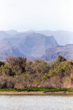 Ön planda gölcükler, arka planda bitki örtüsü ve dağlar, Maspalomalar, Güney Gran Kanaryası, İspanya