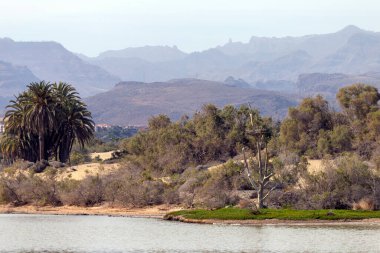 Ön planda gölcükler, arka planda bitki örtüsü ve dağlar, Maspalomalar, Güney Gran Kanaryası, İspanya